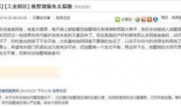 最新偷鱼爆料新闻报道内容,揭秘幕后黑手及惊人内幕