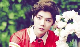 鹿晗爆料韩国女星视频,真相与争议并存